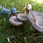 “Look, Nameless. Mushrooms! They almost look magical. And veggies make a very healthful snack.” 