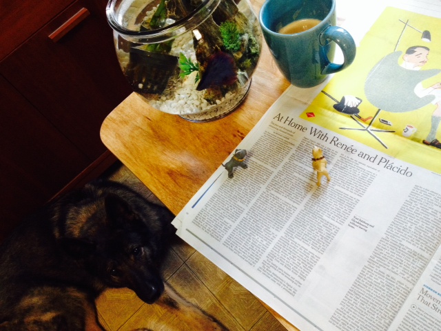 One of the things we love most about house sitting is it let's us try on other people's lives. This morning, we read the New York Times to Mr. Fish & the lovely (and very large) Miss Vesper over a delicious homemade cappuccino!