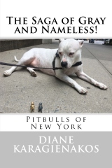 Pitbulls of New York cover